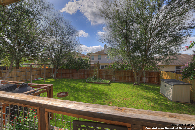 Image 33 of 40 For 1933 Spotted Owl