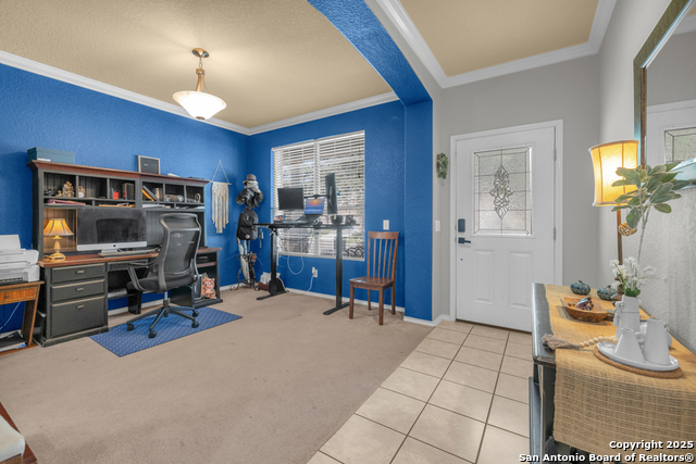 Image 4 of 40 For 1933 Spotted Owl