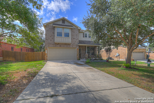 Image 6 of 40 For 1933 Spotted Owl