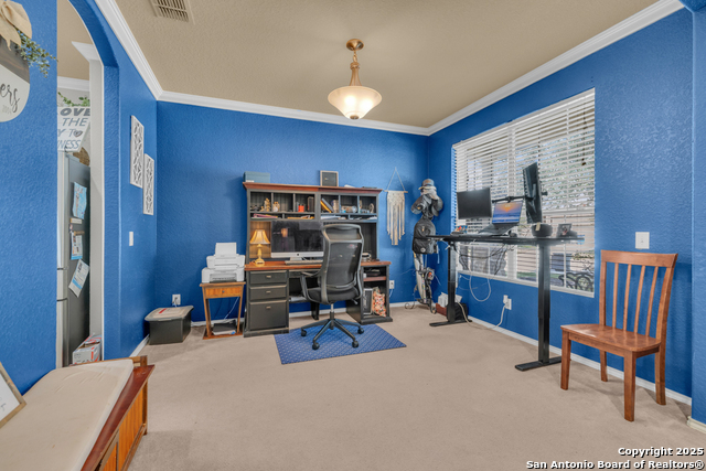 Image 7 of 40 For 1933 Spotted Owl