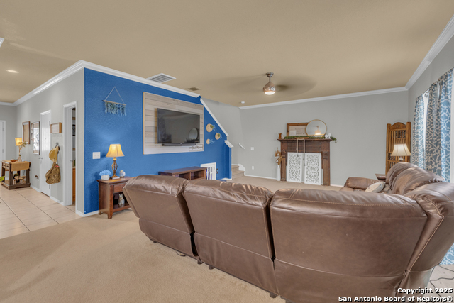 Image 8 of 40 For 1933 Spotted Owl