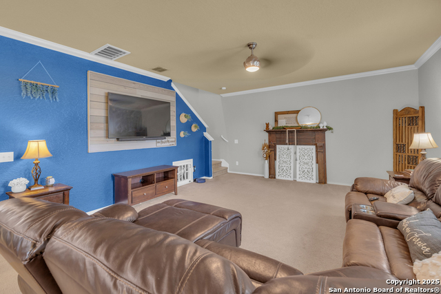 Image 9 of 40 For 1933 Spotted Owl