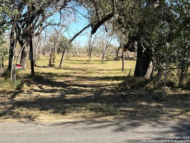 Details for Tbd Gidley  , Atascosa, TX 78002