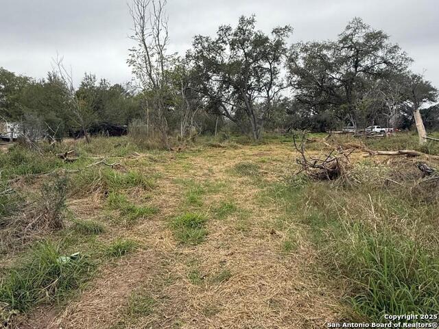 Image 13 of 21 For Tbd Gidley  