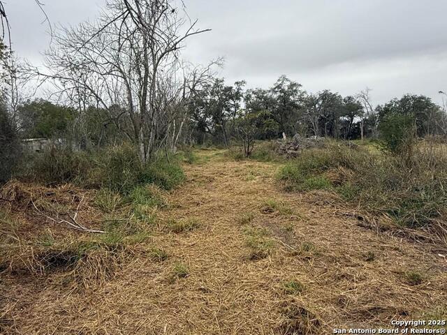 Image 15 of 21 For Tbd Gidley  