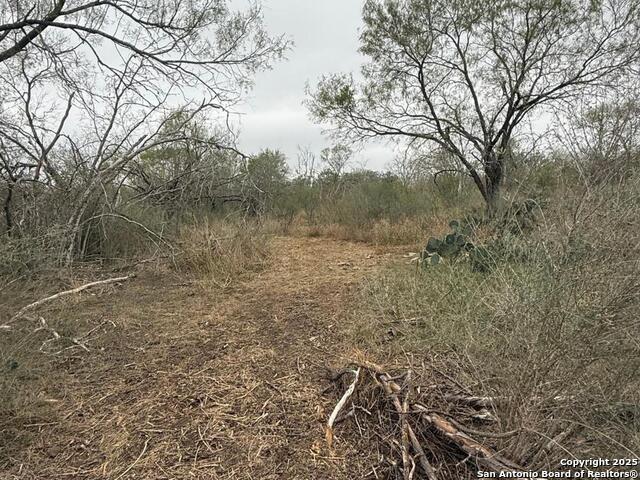 Image 16 of 21 For Tbd Gidley  