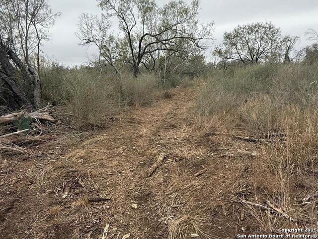 Image 17 of 21 For Tbd Gidley  