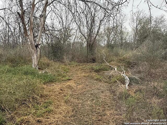 Image 19 of 21 For Tbd Gidley  