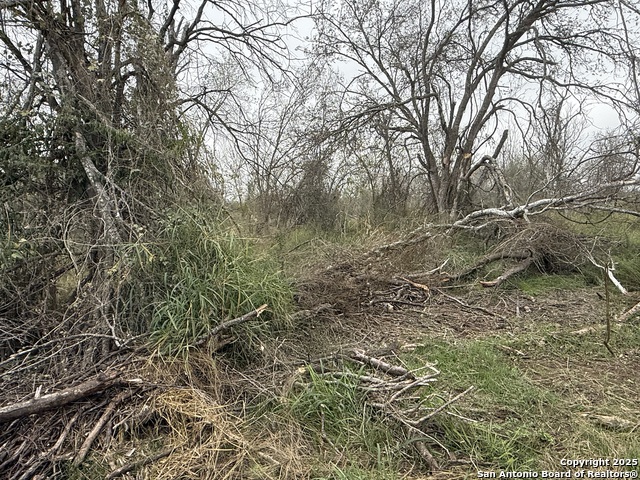 Image 21 of 21 For Tbd Gidley  