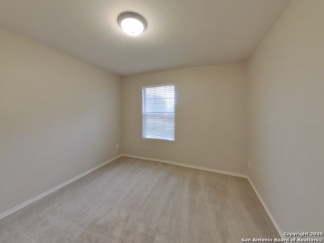 Image 10 of 16 For 160 Hanging Moss