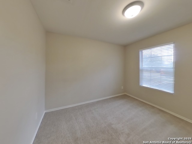 Image 11 of 16 For 160 Hanging Moss