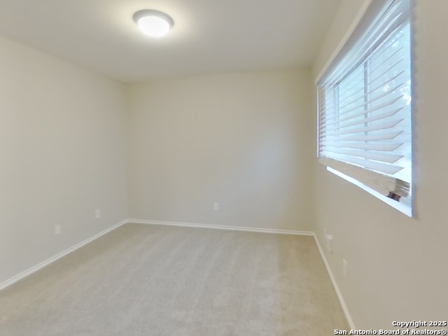 Image 12 of 16 For 160 Hanging Moss