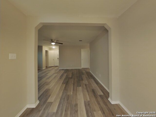 Image 4 of 16 For 160 Hanging Moss