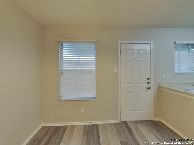 Image 5 of 16 For 160 Hanging Moss