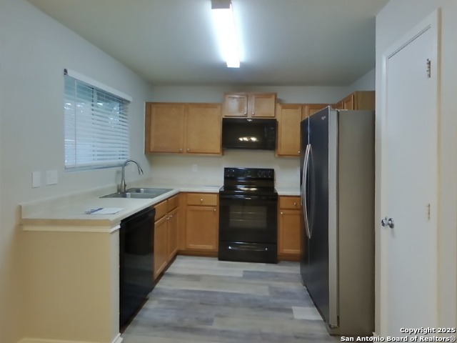 Image 6 of 16 For 160 Hanging Moss