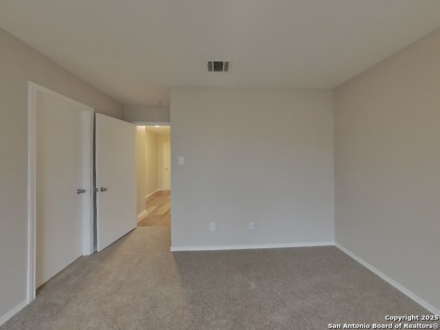 Image 7 of 16 For 160 Hanging Moss