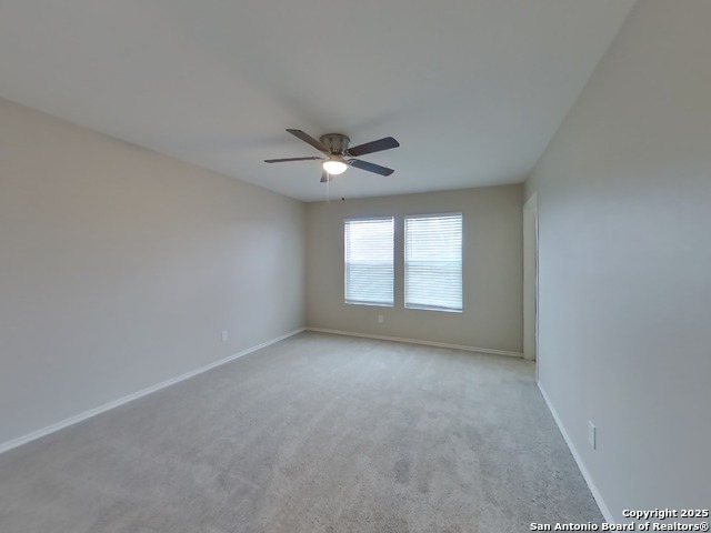 Image 8 of 16 For 160 Hanging Moss