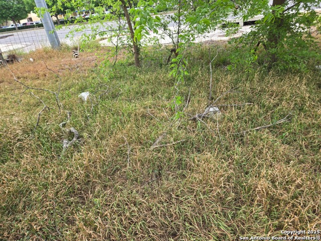 Image 27 of 34 For 105 Moss N