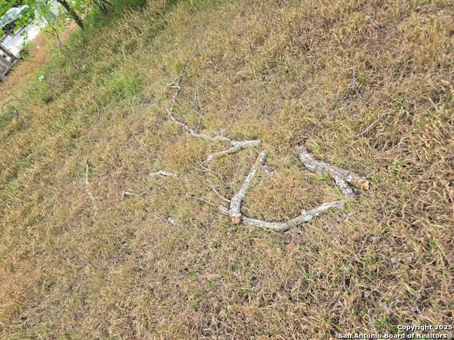 Image 28 of 34 For 105 Moss N