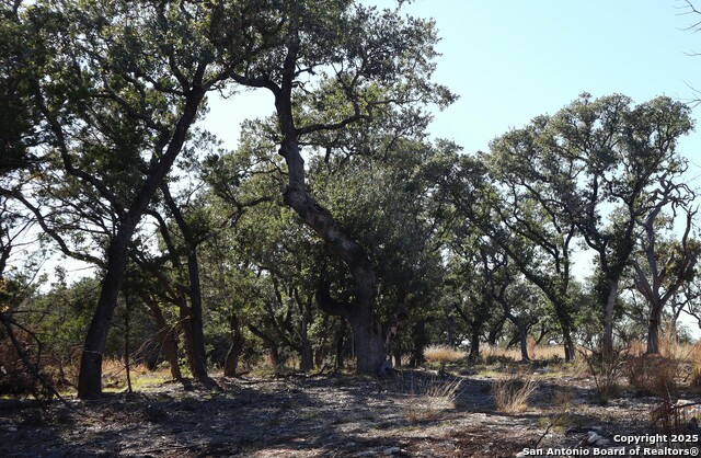 Image 11 of 20 For Lot 5 Sophie Dr.