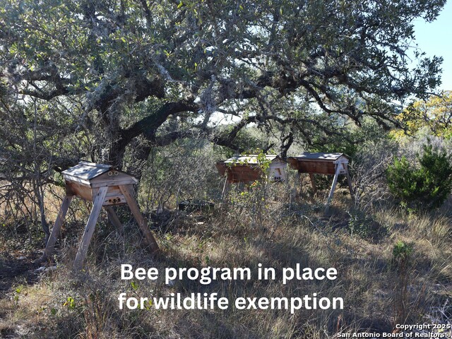 Image 12 of 20 For Lot 5 Sophie Dr.