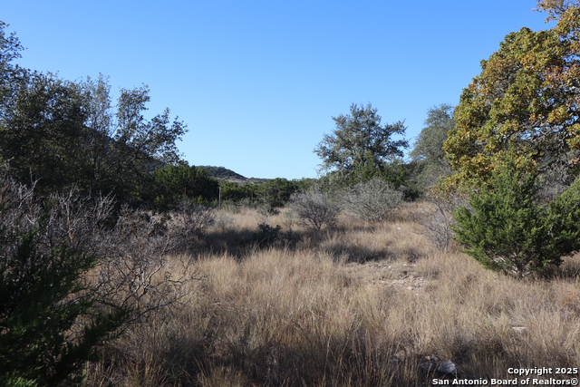 Image 13 of 20 For Lot 5 Sophie Dr.