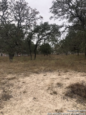 Details for 156 County Road 781, Natalia, TX 78059