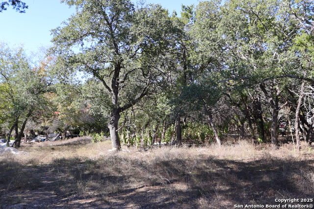 Image 6 of 9 For 1433 Chestnut Springs