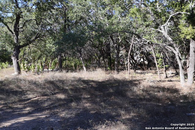 Image 8 of 9 For 1433 Chestnut Springs