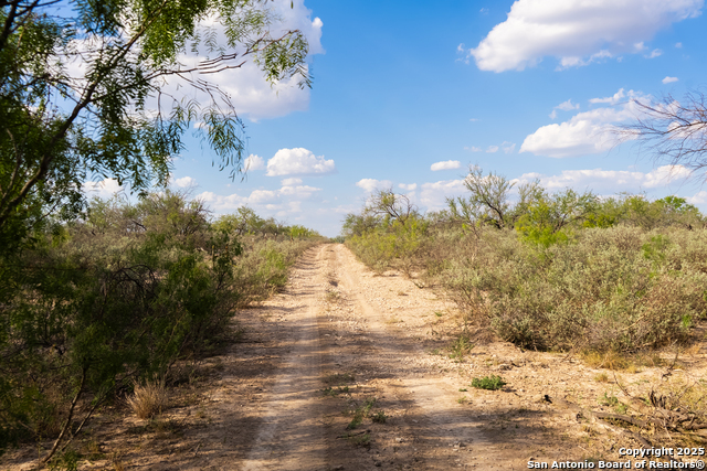 Image 15 of 15 For 2212 Lausen