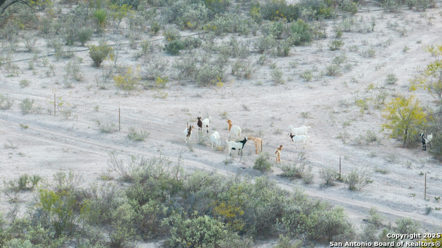 Image 6 of 15 For 2212 Lausen