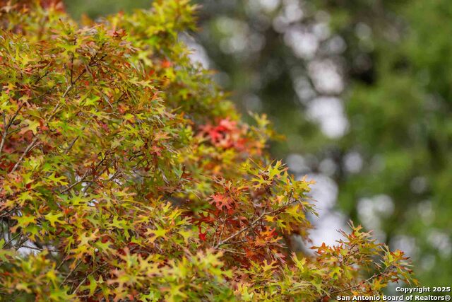 Image 12 of 43 For 7625 State Highway 16 N