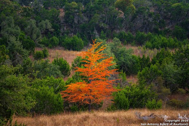 Image 19 of 43 For 7625 State Highway 16 N