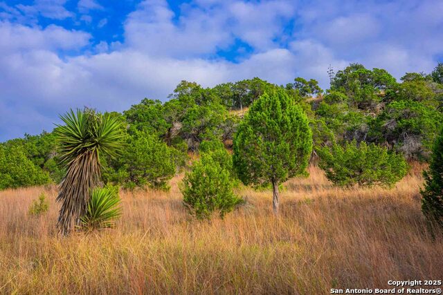 Image 6 of 43 For 7625 State Highway 16 N