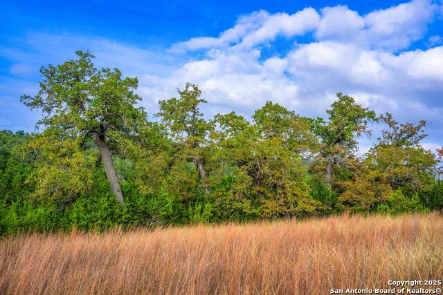 Image 9 of 43 For 7625 State Highway 16 N