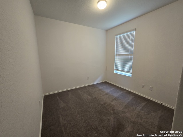 Image 10 of 40 For 334 Mistflower