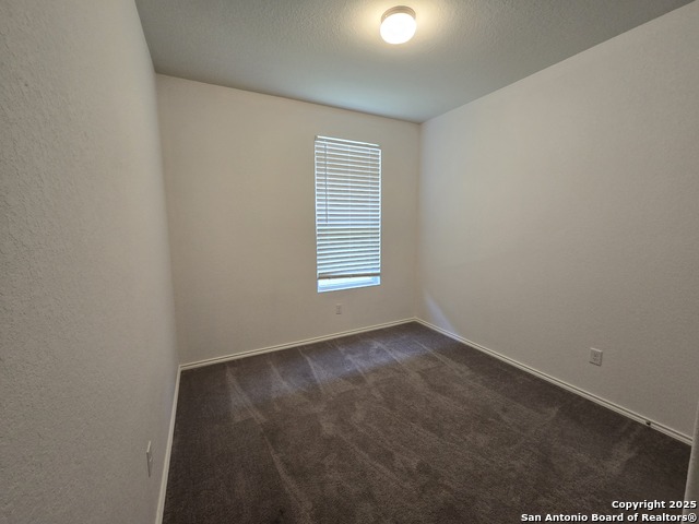 Image 13 of 40 For 334 Mistflower