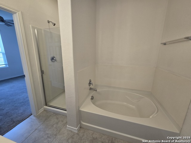 Image 20 of 40 For 334 Mistflower