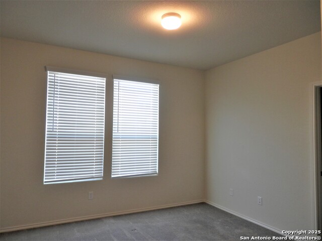 Image 24 of 40 For 334 Mistflower