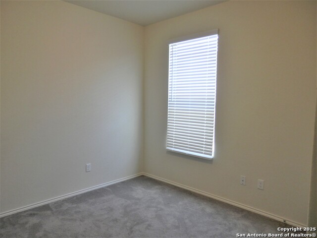 Image 36 of 40 For 334 Mistflower