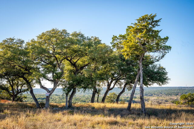 Image 8 of 18 For 911 Enchanted