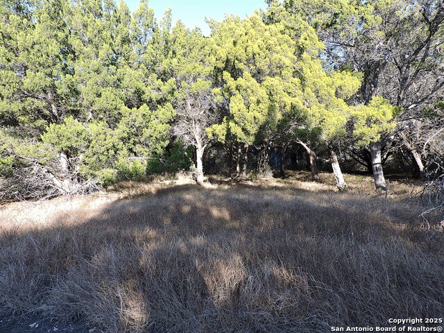 Details for Lot 11 Elm St, Schertz, TX 78154