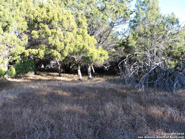 Listing photo id 0 for Lot 11 Elm St