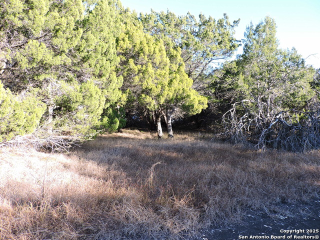 Listing photo id 2 for Lot 11 Elm St