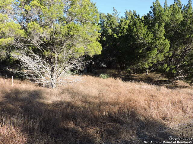 Listing photo id 3 for Lot 11 Elm St