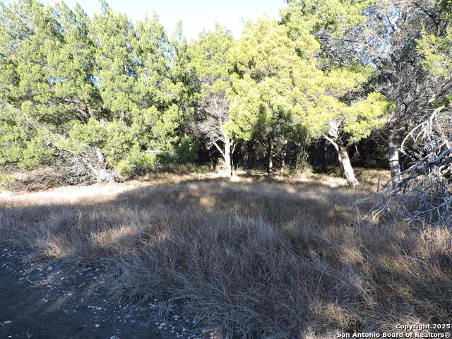 Listing photo id 4 for Lot 11 Elm St