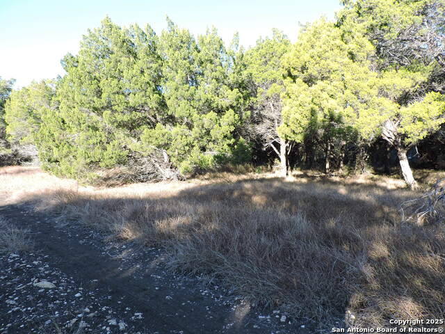 Listing photo id 5 for Lot 11 Elm St