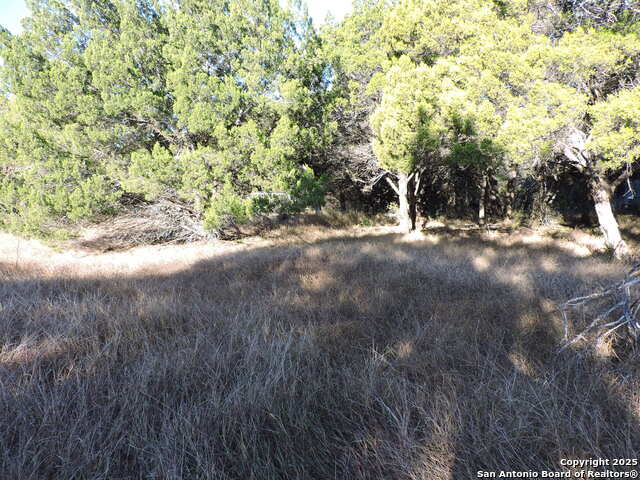 Listing photo id 6 for Lot 11 Elm St