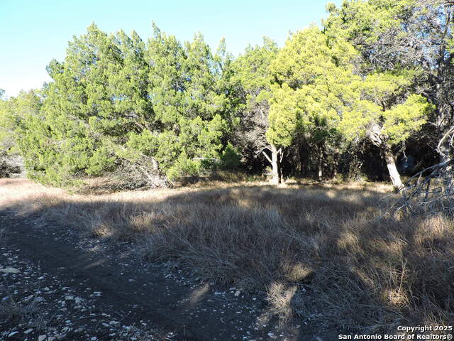 Listing photo id 7 for Lot 11 Elm St