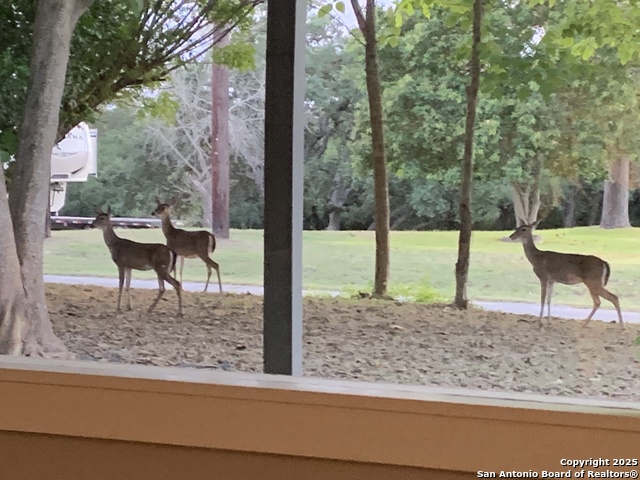 Image 25 of 25 For 6531 Fox Run